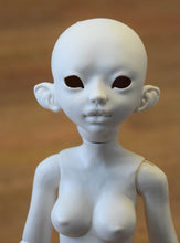 Cattleya Preorder from November 24th to December 22nd