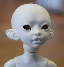 Cattleya Preorder from November 24th to December 22nd