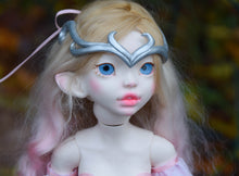 Cattleya Preorder from November 24th to December 22nd