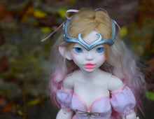 Cattleya Preorder from November 24th to December 22nd