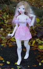 Cattleya Preorder from November 24th to December 22nd