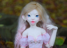 Cattleya Preorder from November 24th to December 22nd