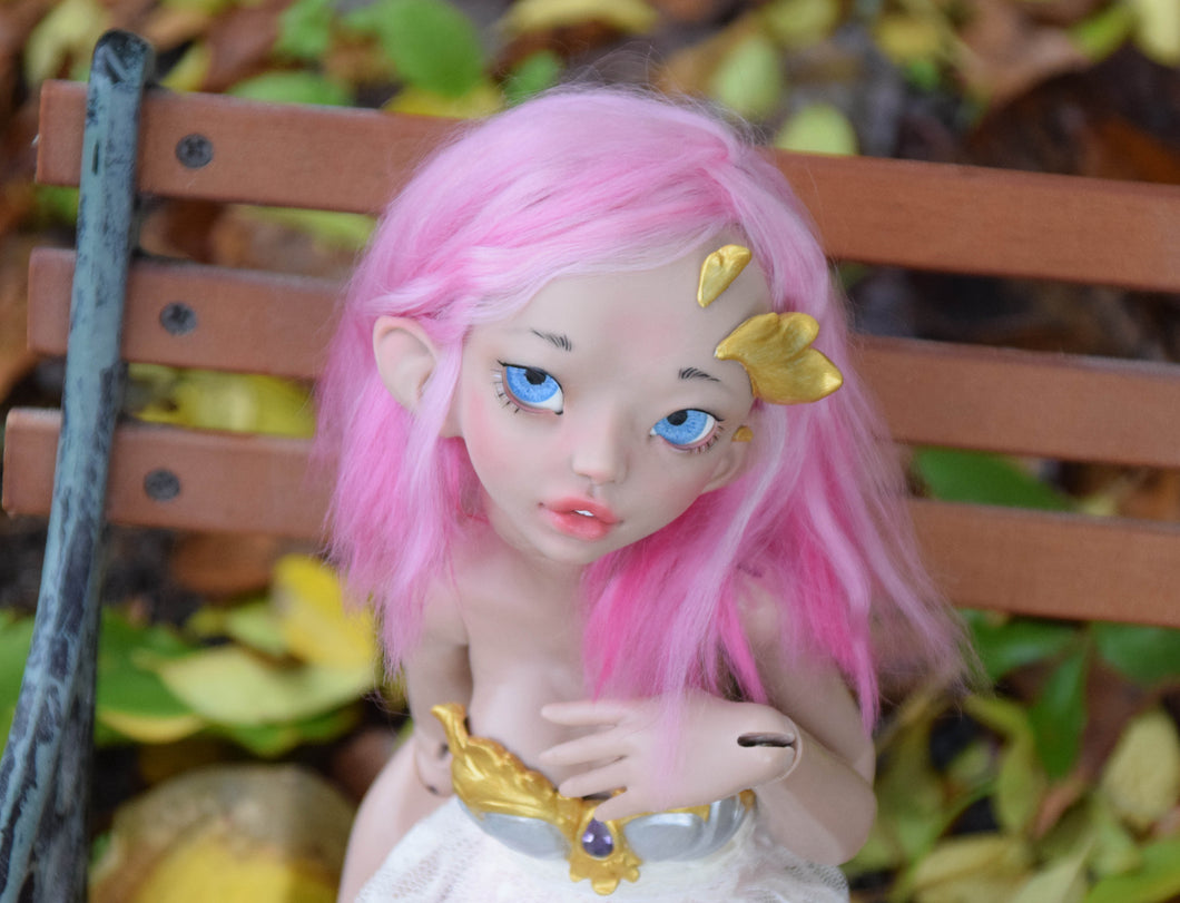 Cattleya Preorder from November 24th to December 22nd