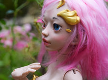 Cattleya Preorder from November 24th to December 22nd