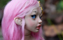 Cattleya Preorder from November 24th to December 22nd