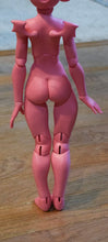 Pink Parmelia