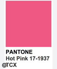 Cattleya Preorder from November 24th to December 22nd