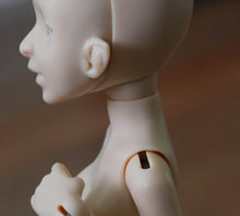 Almond Milk Naga Orchidaceae with Lemon, strawberry, and Mint Tail with smaller neck joint and shorter arms