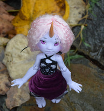 Amanita Preorder August 31st to November 28th 2022