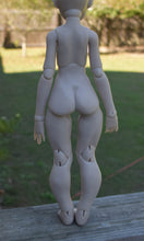 Dahlia Preorder from October 22nd to November 4th 2019