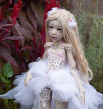 Dahlia Preorder from October 22nd to November 4th 2019