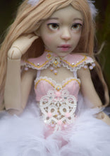 Dahlia Preorder from October 22nd to November 4th 2019