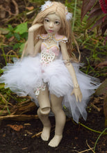 Dahlia Preorder from October 22nd to November 4th 2019