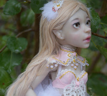 Dahlia Preorder from October 22nd to November 4th 2019