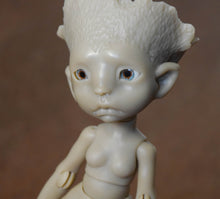 Preorder Oak Leaf from December 15th to December 22nd