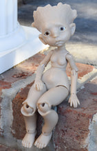 Preorder Oak Leaf from December 15th to December 22nd