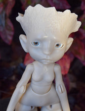 Preorder Oak Leaf from December 15th to December 22nd