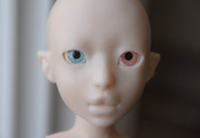 Freesia Preorder From April 10th to May 10th 2020