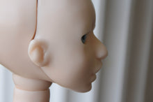 Freesia Preorder From April 10th to May 10th 2020