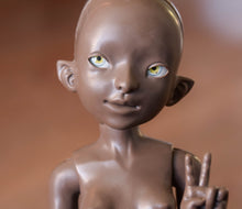 Orchidaceae Preorder April 8th to April 24th 2021