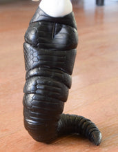 Naga Orchidaceae Preorder October 24th to November 14th 2020