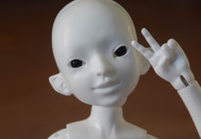 Naga Orchidaceae Preorder October 24th to November 14th 2020