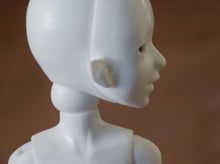 Naga Orchidaceae Preorder October 24th to November 14th 2020