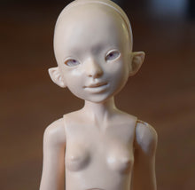 Orchidaceae Preorder April 8th to April 24th 2021