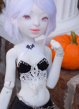 Naga Orchidaceae Preorder October 24th to November 14th 2020