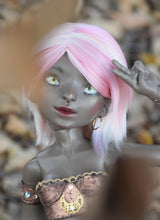 Naga Orchidaceae Preorder October 24th to November 14th 2020