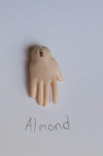 Orchidaceae Preorder April 8th to April 24th 2021