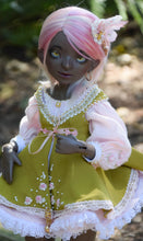 Orchidaceae Preorder April 8th to April 24th 2021