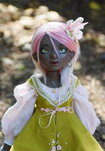 Orchidaceae Preorder April 8th to April 24th 2021