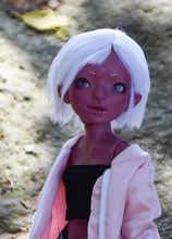 Orchidaceae Preorder April 8th to April 24th 2021