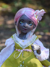 Orchidaceae Preorder April 8th to April 24th 2021