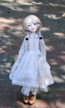 Orchidaceae Preorder April 8th to April 24th 2021