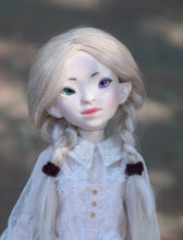 Orchidaceae Preorder April 8th to April 24th 2021