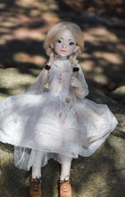 Orchidaceae Preorder April 8th to April 24th 2021