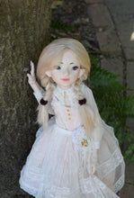 Orchidaceae Preorder April 8th to April 24th 2021