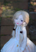 Orchidaceae Preorder April 8th to April 24th 2021