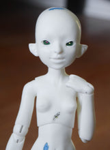 Coconut Orchidaceae with flower and bees "Tattoos"