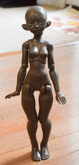 DISCOUNTED Cattleya color Dark Chocolate