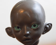 DISCOUNTED Cattleya color Dark Chocolate