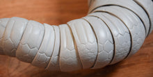 DISCOUNTED Light Peach Naga Cattleya with light Gray Tail
