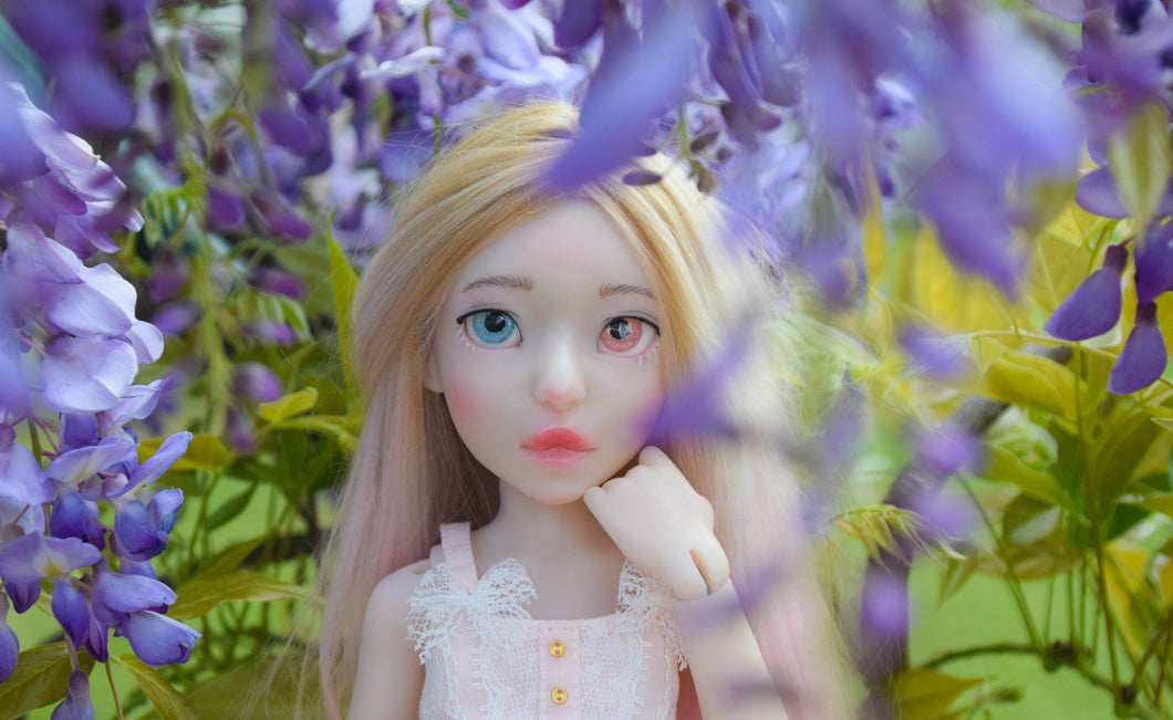 Freesia Preorder From April 10th to May 10th 2020